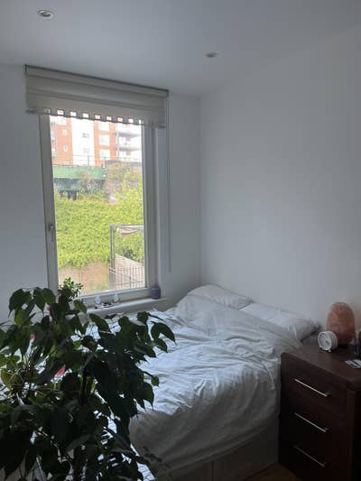 Single room available 1st July in West Hampstead Main Photo