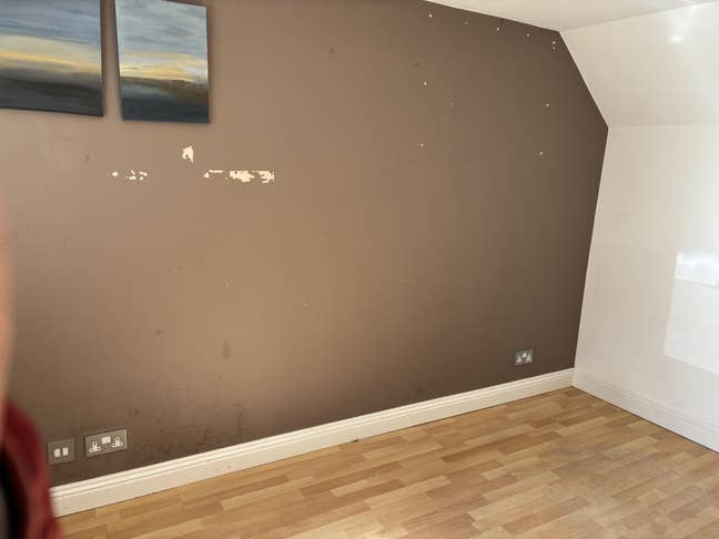 Private room next to house – self-contained feel Main Photo