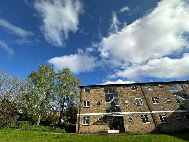 Spacious flat near Port Meadow Main Photo