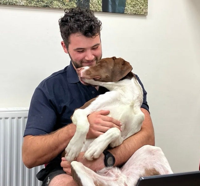 26 year old vet that moved down here about 6 ... Main Photo