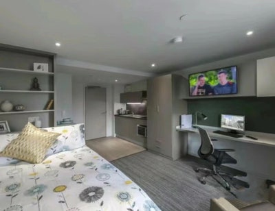 Verde Studio Main Photo