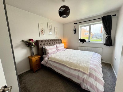 Bright Room, Bills & Wi-Fi Included Main Photo