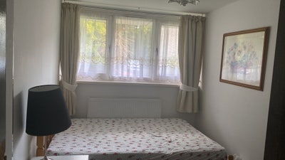 Double room for Singal person  Main Photo