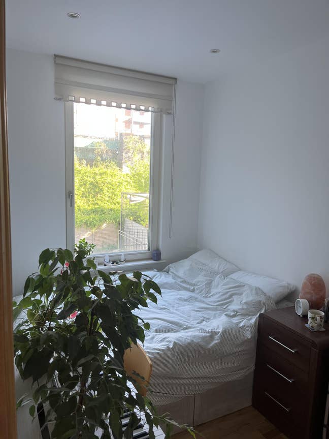 Single room available 1st July in West Hampstead Main Photo