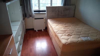 Double room in lovely shared house  Main Photo