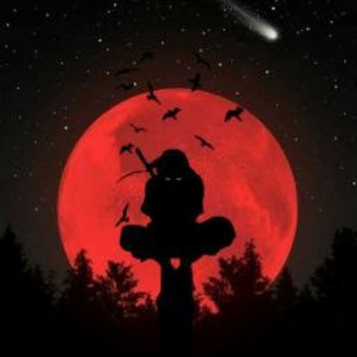 Room wanted from July 2026 - March 2027 Main Photo