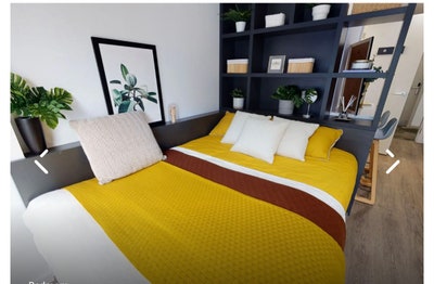 Luxury studio  Main Photo