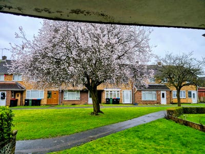 Newly Renovated Double Room – All Bills Included – Main Photo