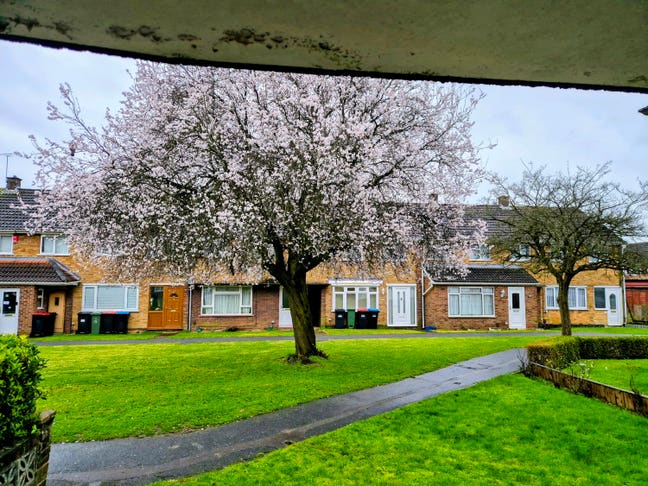 Newly Renovated Double Room – All Bills Included – Main Photo