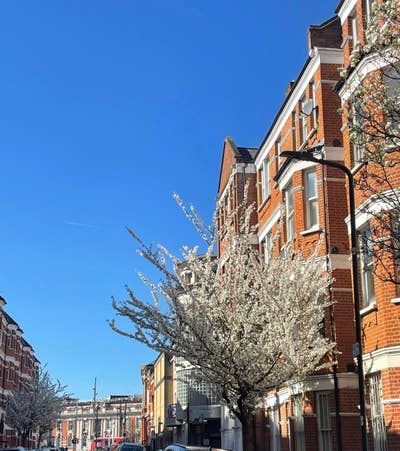 ✨ Sunny Double Room in Central Brixton ✨ Main Photo