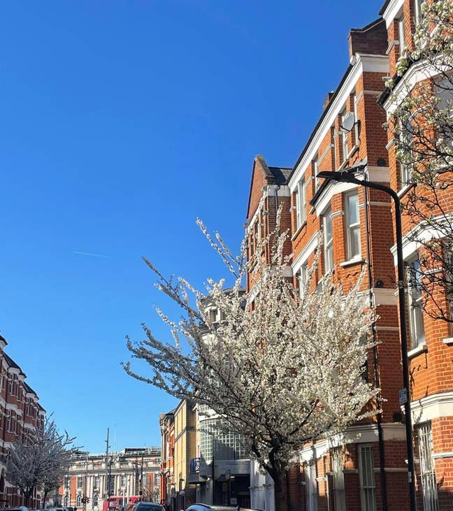 ✨ Sunny Double Room in Central Brixton ✨ Main Photo