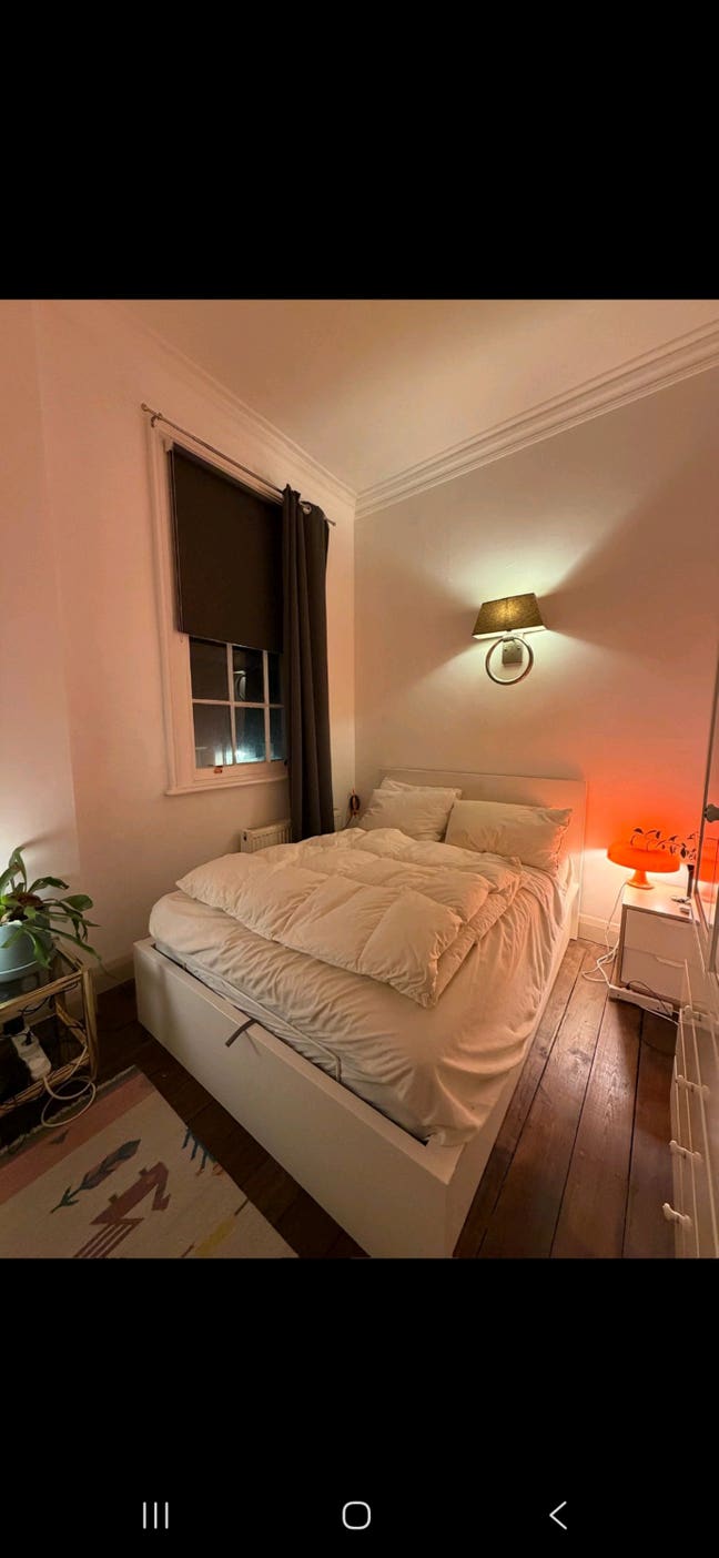 Double room in Paddington for professional Main Photo