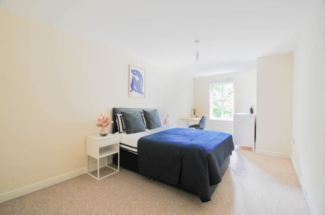 Bright, Spacious Double Room in Flat Near Uni Main Photo