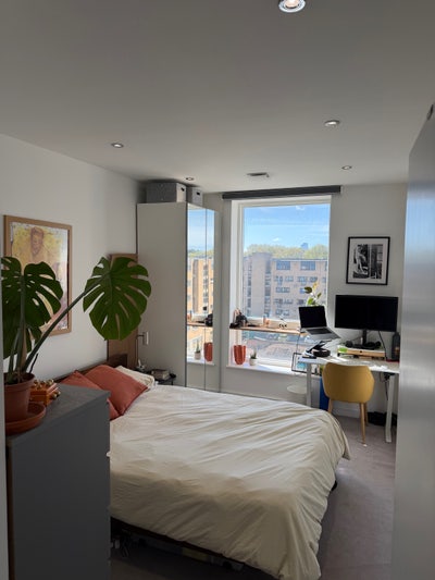 Double room next to Clissold Park Main Photo