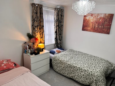 Beautiful Single bed available for sharing Main Photo