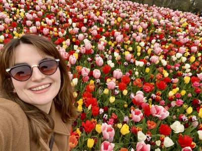 Hello!  I’m looking for a room in a frien... Main Photo