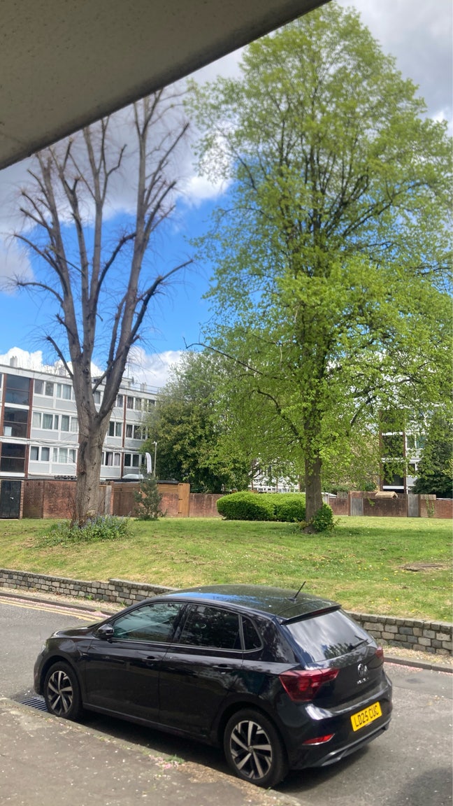 Spacious double room in Roehampton  Main Photo