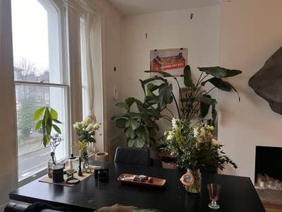 Long-term Sublet in warm, beautiful flat  Main Photo