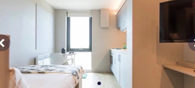 Lancaster Caton Court Studio Rent (students only) Main Photo