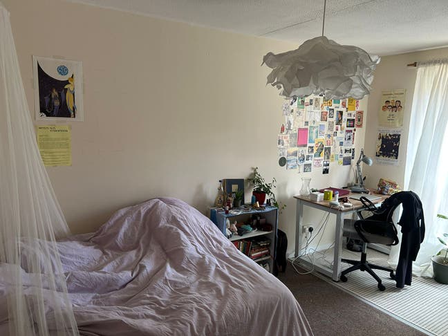 SE1-- Looking for 2 Flatmates!! (STUDENT) Main Photo