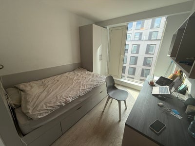 June Two Weeks Sublet – iQ Student Accommodation  Main Photo