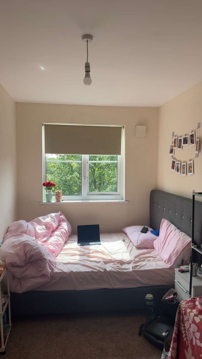 Spacious Double Room in 2-Bed Apartment Main Photo