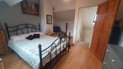 Large Bright Room good privacy  Main Photo