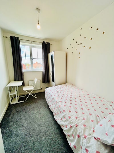 Single Room to rent  Main Photo