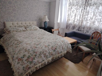 One single and one double bedroom available now.  Main Photo