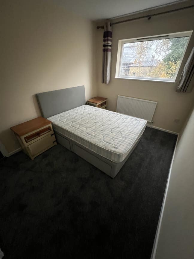 Two newly decorated rooms in nice town house next  Main Photo