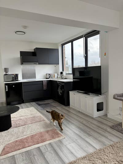 Bright & Sunny Studio Flat - South Wimbledon  Main Photo