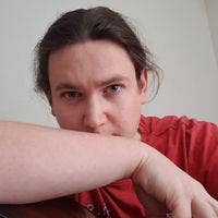 Polite and Tidy tenant looking for large double ro Main Photo