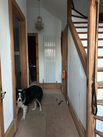 Double rooms available in peaceful Victorian home. Main Photo