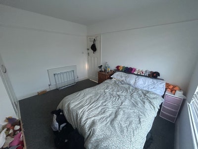 Replacement tenants needed for 2 rooms in coldean Main Photo