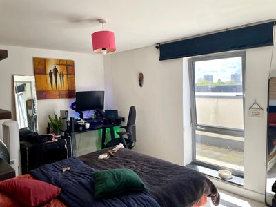 Room Available in Bright, Peaceful Flat Main Photo