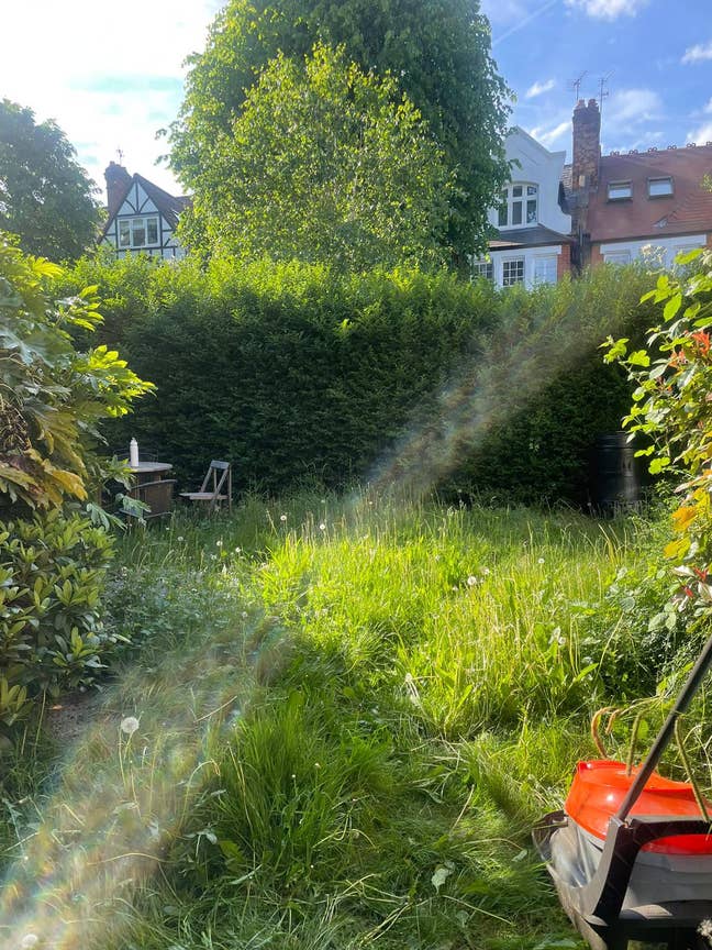 Beautiful sunny room in Chiswick Park Main Photo