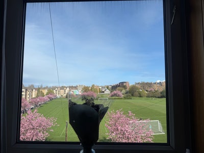 Double Room to Rent in a Quiet Central Location Main Photo