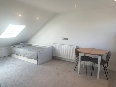 Modern Studio for Vegetarians- Self Contained Main Photo