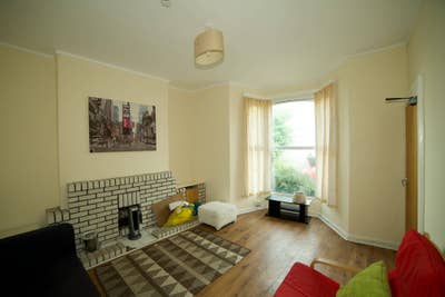 Large student room in Brynmill Main Photo