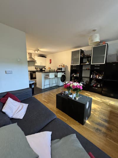 Bright double room, friendly house Shepherd's Bush Main Photo