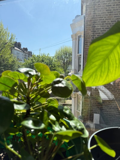 Cozy room in Queenspark  Main Photo