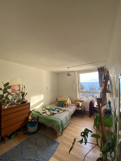 Lovely big bright room in Haggerston shared flat! Main Photo