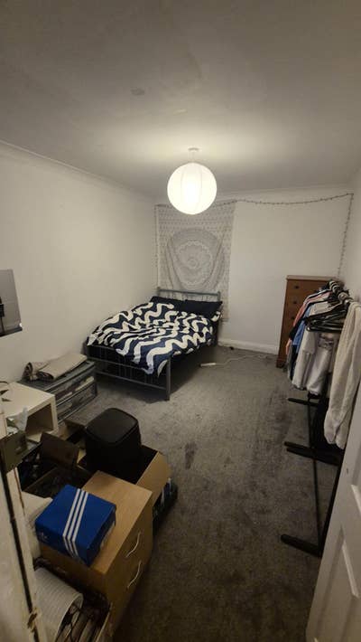 Room available for immediate  Main Photo