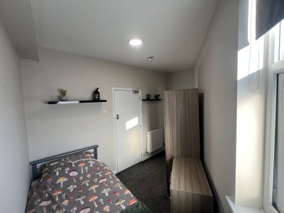 Quirky single room in Professional House  Main Photo