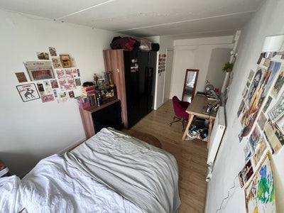 Lovely Battersea room available May 11th! Main Photo