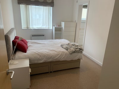 Delightful Ensuite room in premium Location  Main Photo