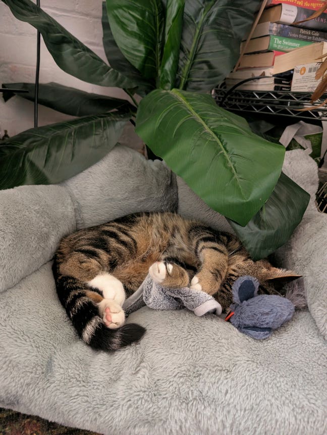 Double room available in Harringey Warehouse Main Photo