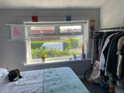 1 room available in friendly Chorlton houseshare ✨ Main Photo