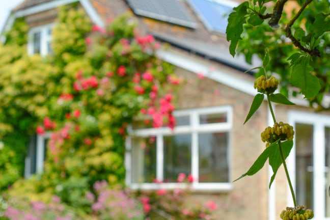 Rooms Available in Countryside Home Main Photo