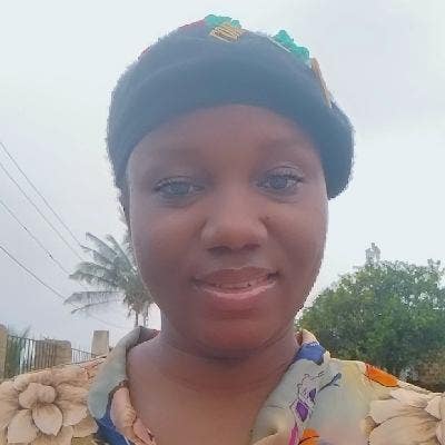 Professional Female seeks a single or double room Main Photo